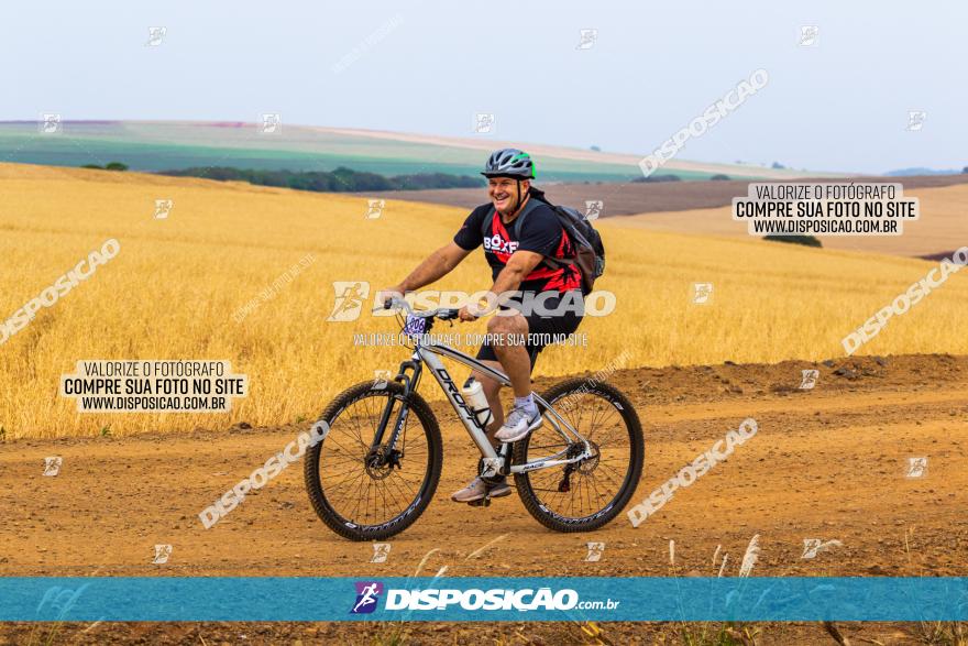 Rota das Capelas de Mandaguaçu