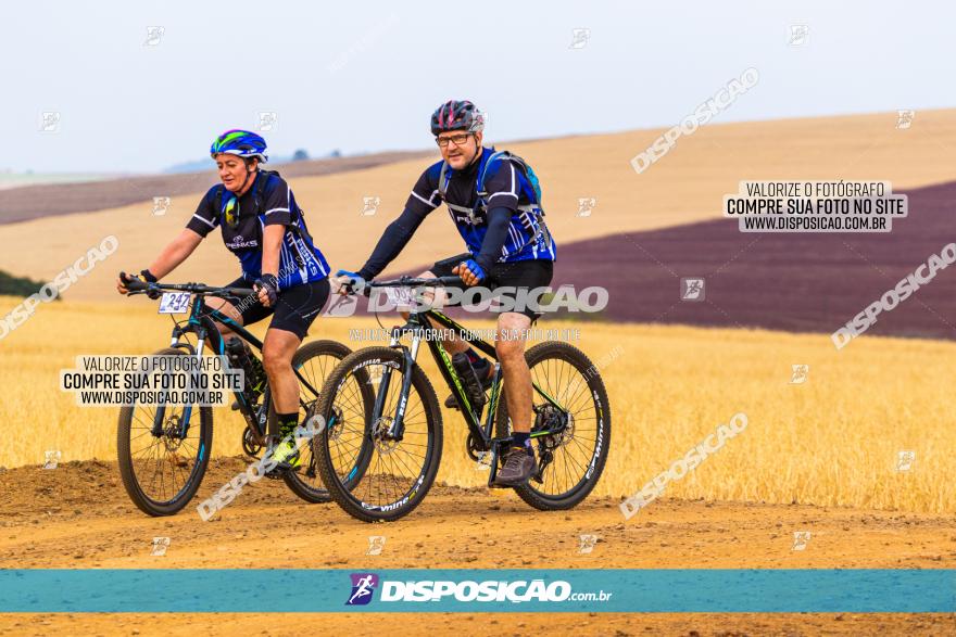 Rota das Capelas de Mandaguaçu