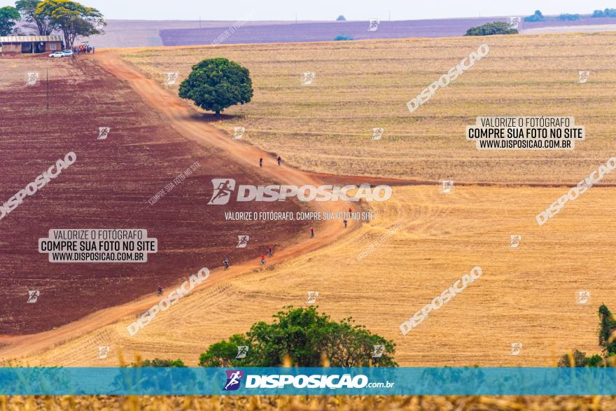 Rota das Capelas de Mandaguaçu