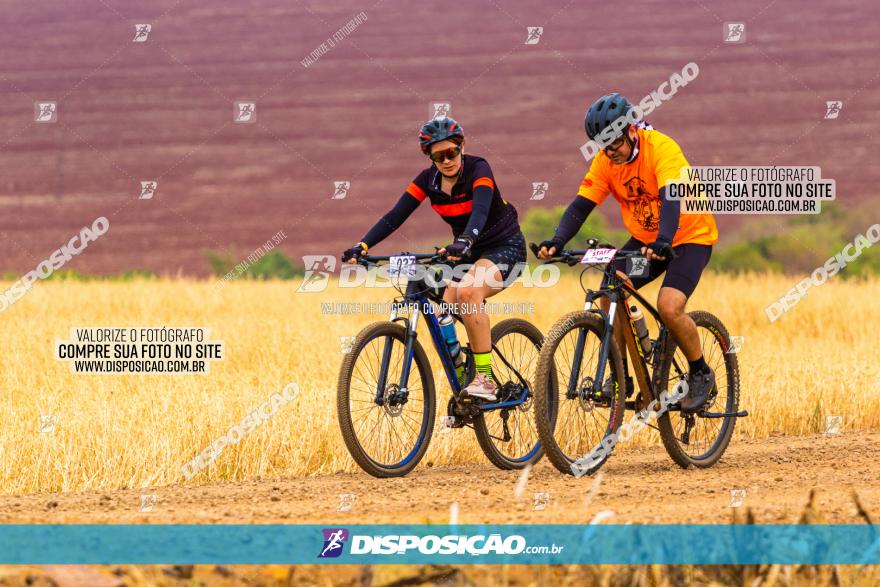 Rota das Capelas de Mandaguaçu