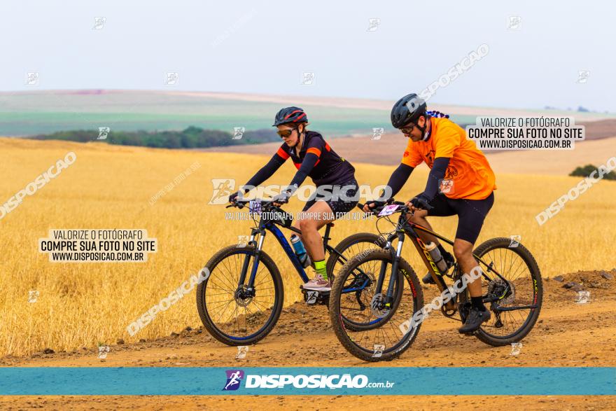 Rota das Capelas de Mandaguaçu