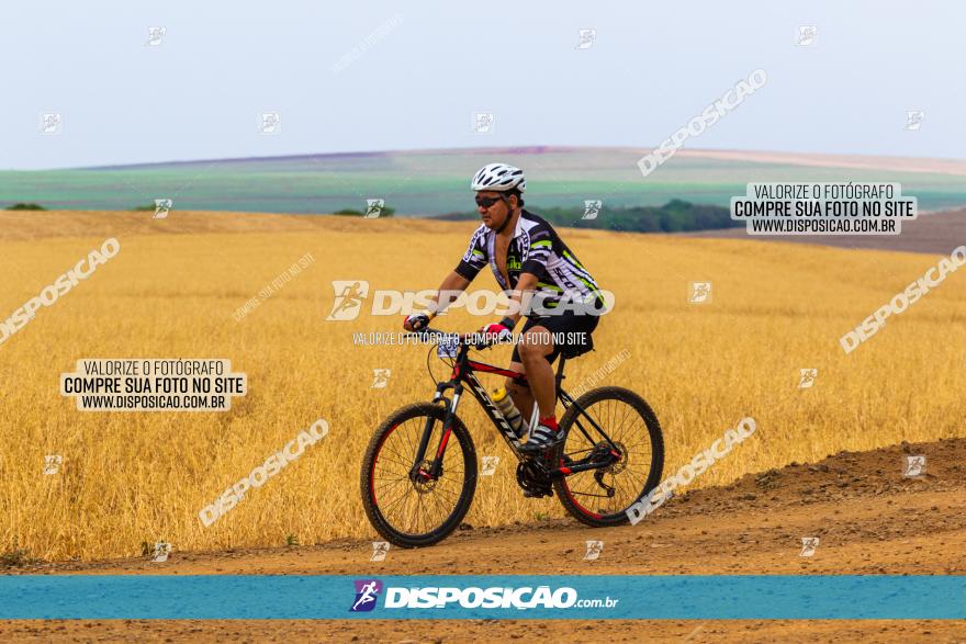 Rota das Capelas de Mandaguaçu