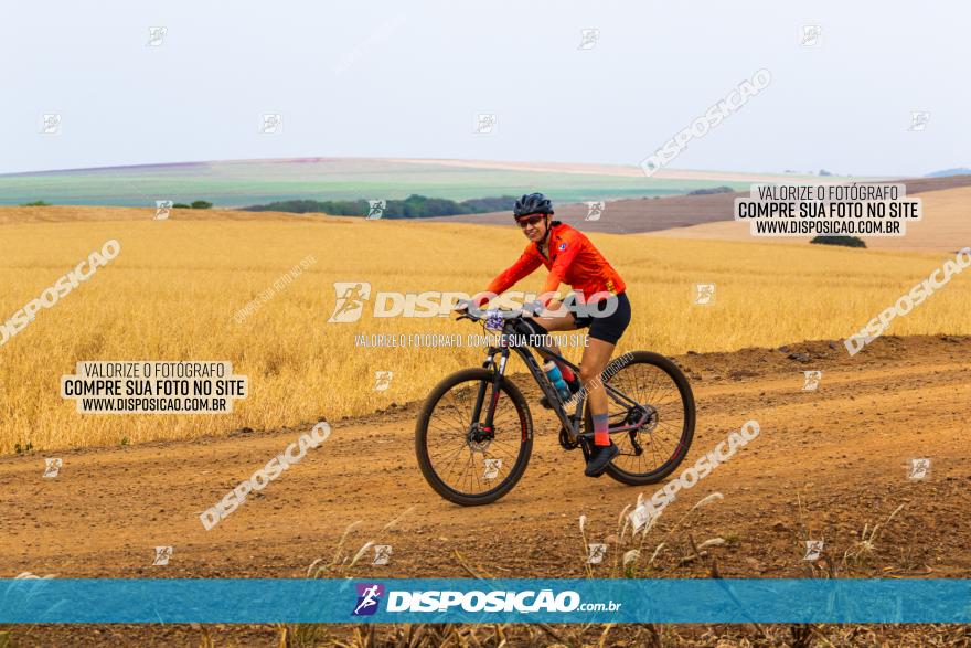 Rota das Capelas de Mandaguaçu