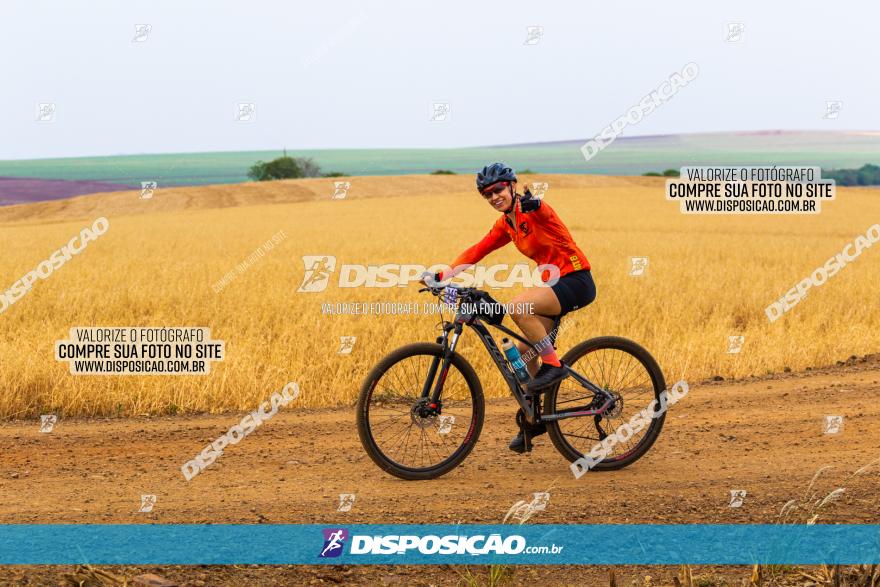 Rota das Capelas de Mandaguaçu