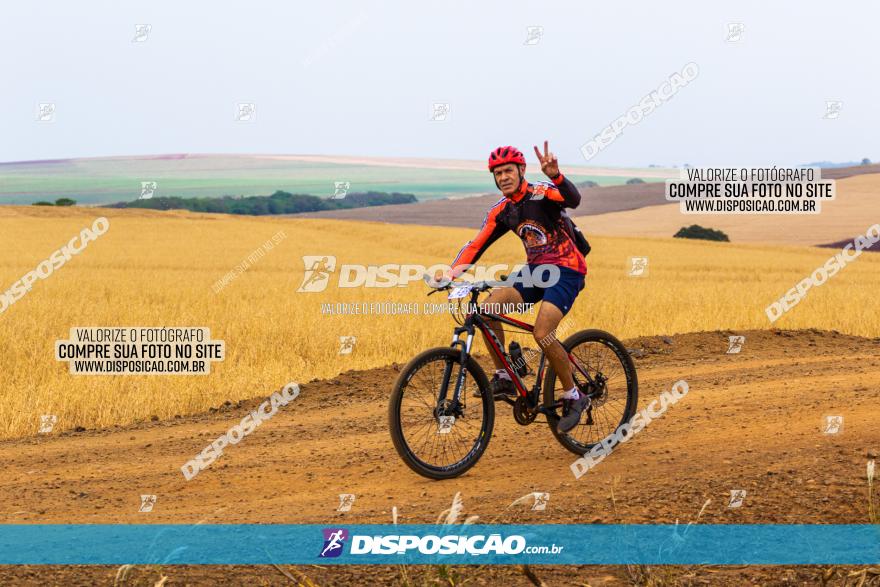 Rota das Capelas de Mandaguaçu