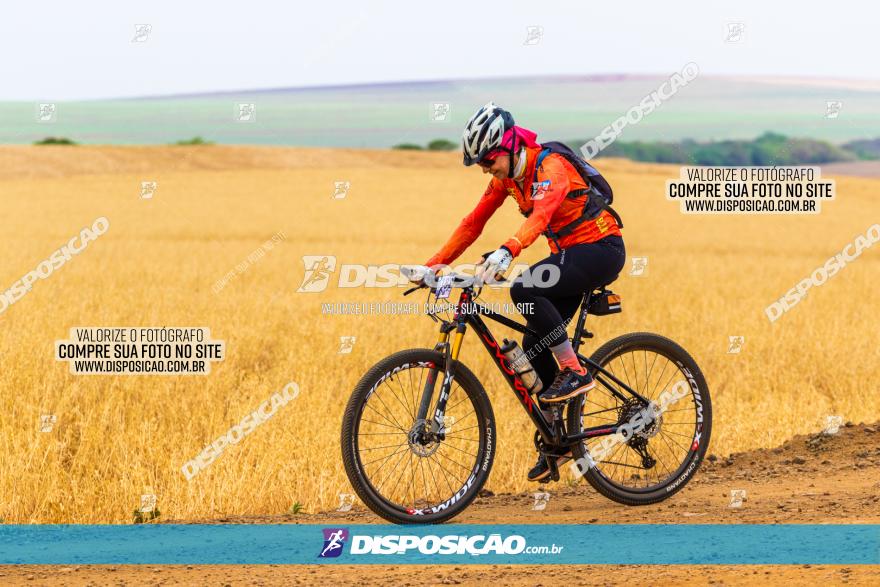 Rota das Capelas de Mandaguaçu