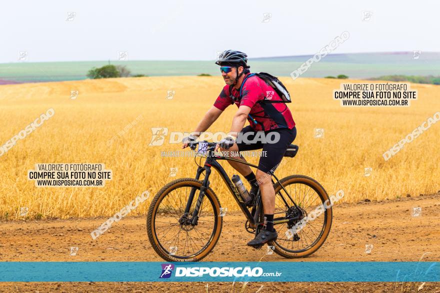 Rota das Capelas de Mandaguaçu