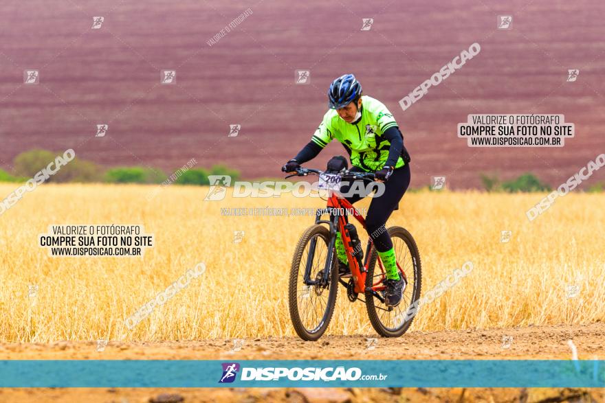 Rota das Capelas de Mandaguaçu