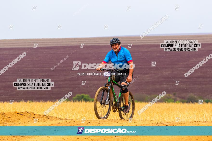 Rota das Capelas de Mandaguaçu