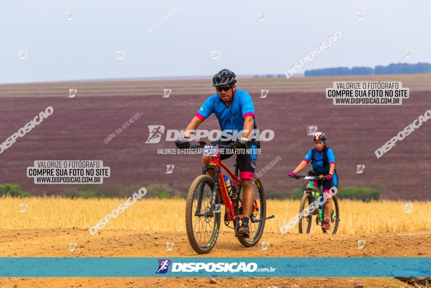 Rota das Capelas de Mandaguaçu