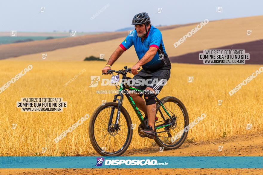 Rota das Capelas de Mandaguaçu