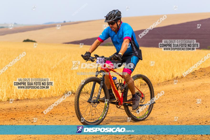 Rota das Capelas de Mandaguaçu