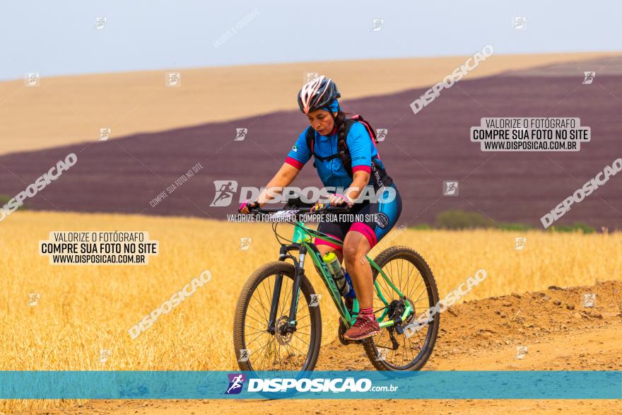 Rota das Capelas de Mandaguaçu