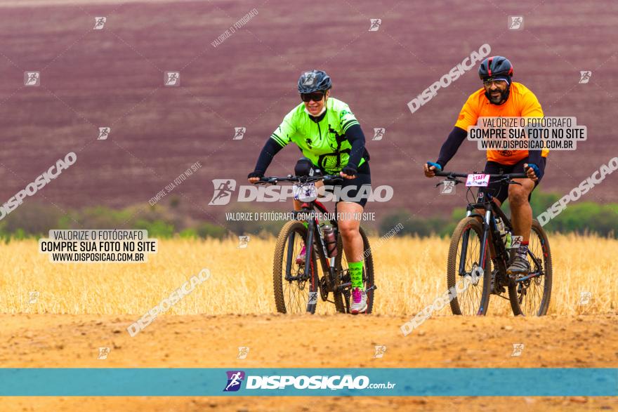 Rota das Capelas de Mandaguaçu