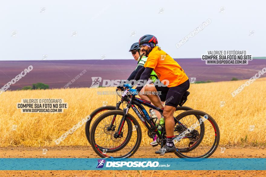 Rota das Capelas de Mandaguaçu