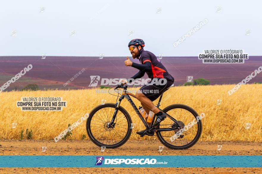 Rota das Capelas de Mandaguaçu