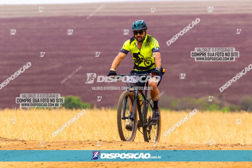 Rota das Capelas de Mandaguaçu