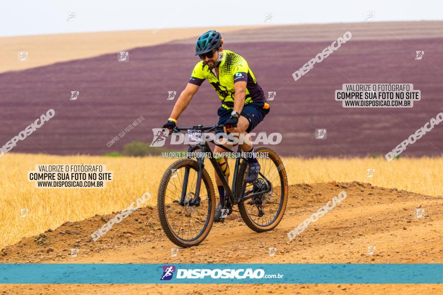 Rota das Capelas de Mandaguaçu