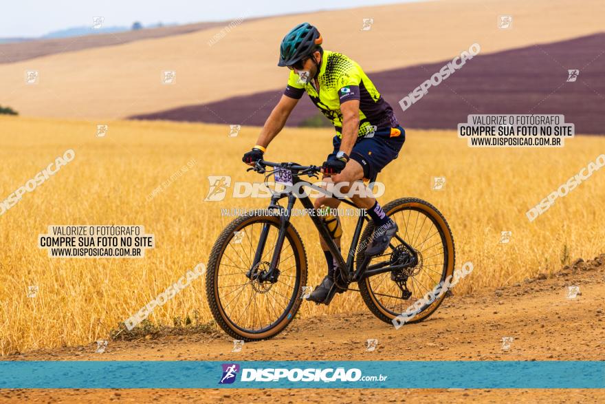 Rota das Capelas de Mandaguaçu