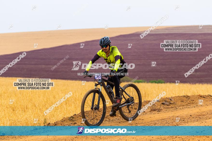 Rota das Capelas de Mandaguaçu