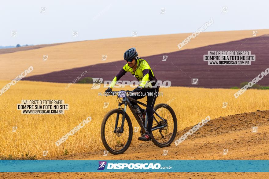 Rota das Capelas de Mandaguaçu