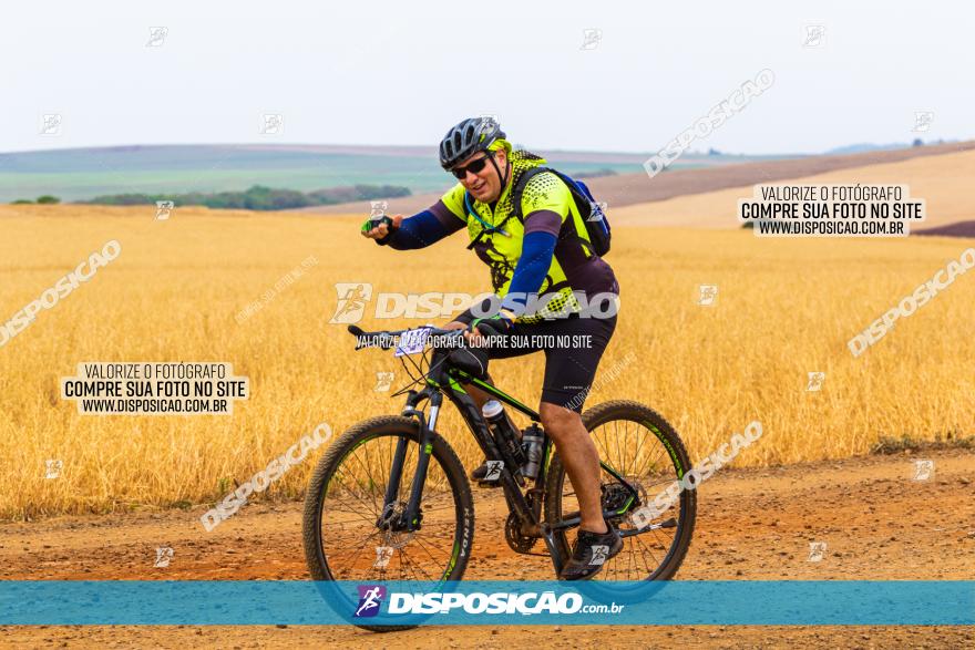 Rota das Capelas de Mandaguaçu