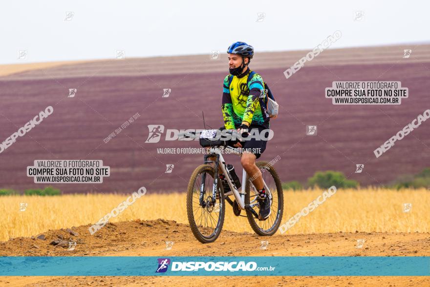 Rota das Capelas de Mandaguaçu