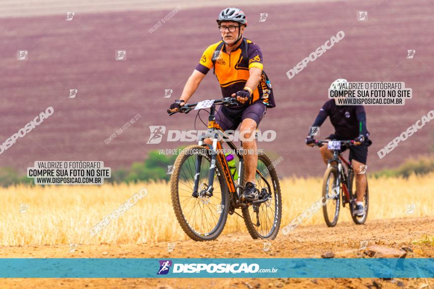 Rota das Capelas de Mandaguaçu