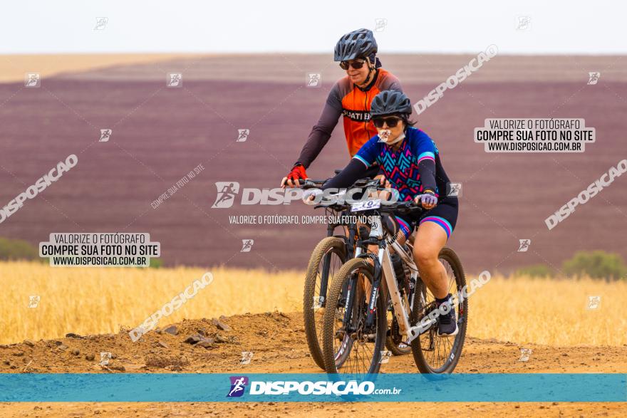 Rota das Capelas de Mandaguaçu