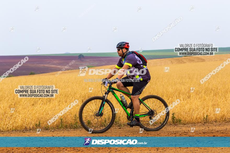 Rota das Capelas de Mandaguaçu