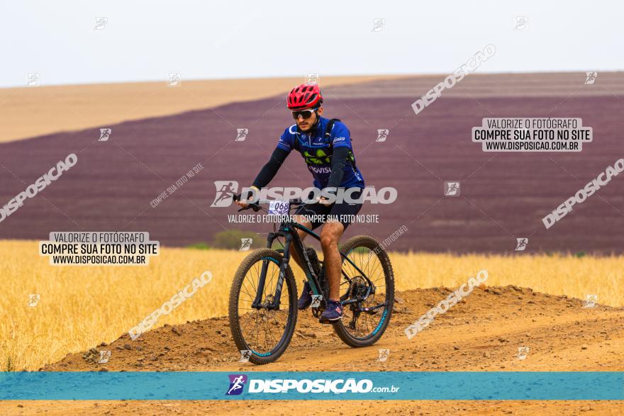 Rota das Capelas de Mandaguaçu