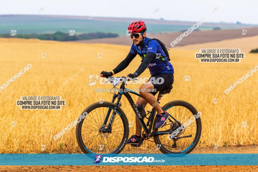 Rota das Capelas de Mandaguaçu