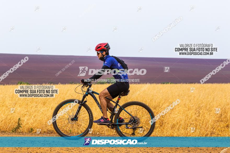 Rota das Capelas de Mandaguaçu