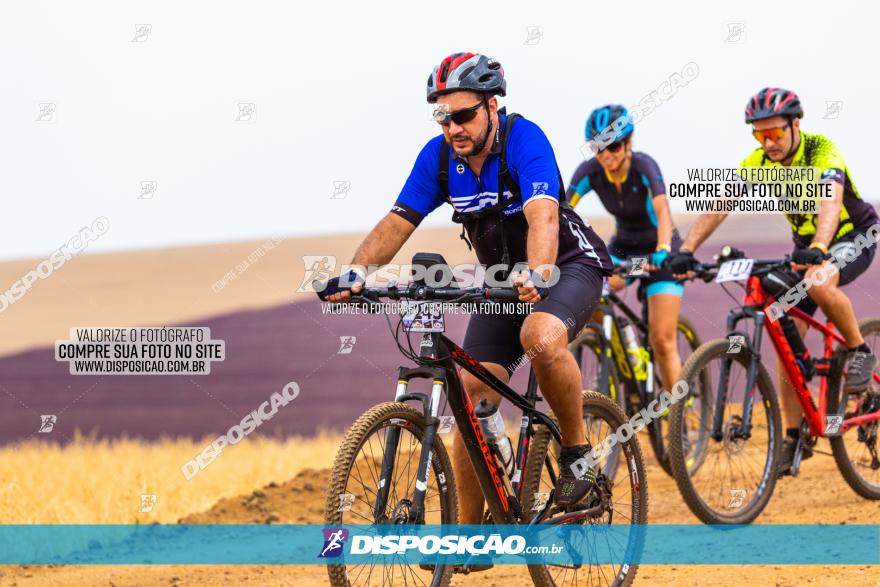 Rota das Capelas de Mandaguaçu