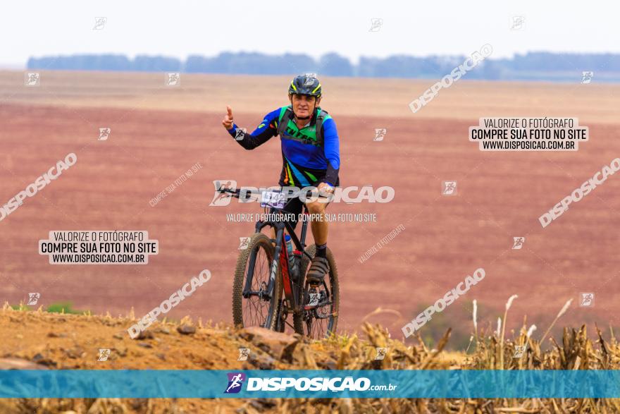 Rota das Capelas de Mandaguaçu