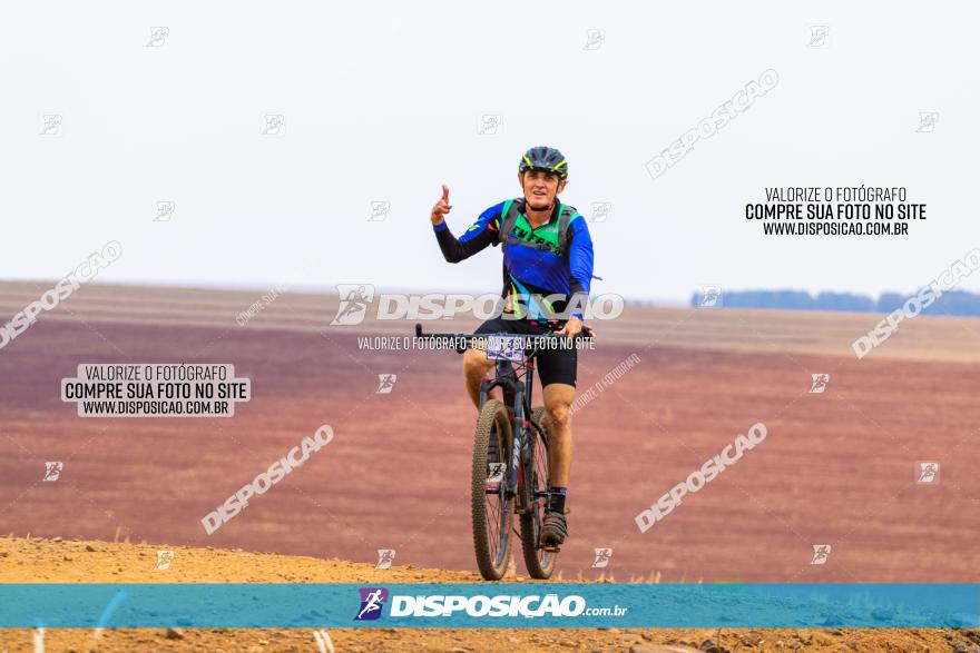 Rota das Capelas de Mandaguaçu