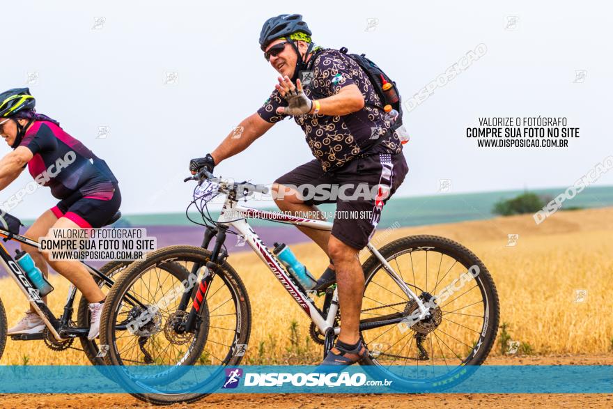 Rota das Capelas de Mandaguaçu