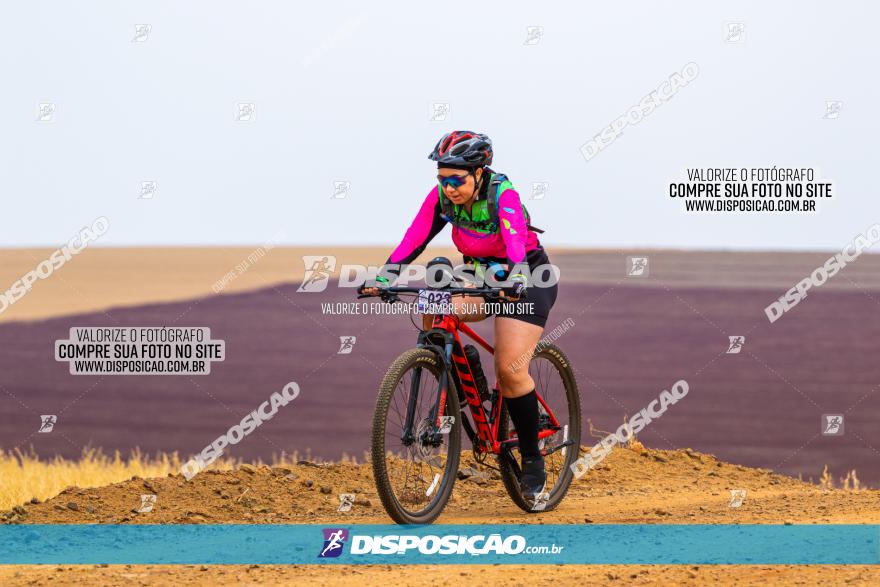 Rota das Capelas de Mandaguaçu