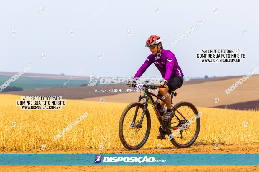 Rota das Capelas de Mandaguaçu