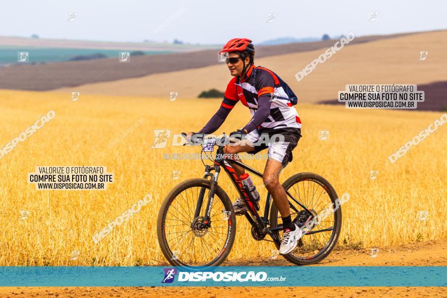 Rota das Capelas de Mandaguaçu