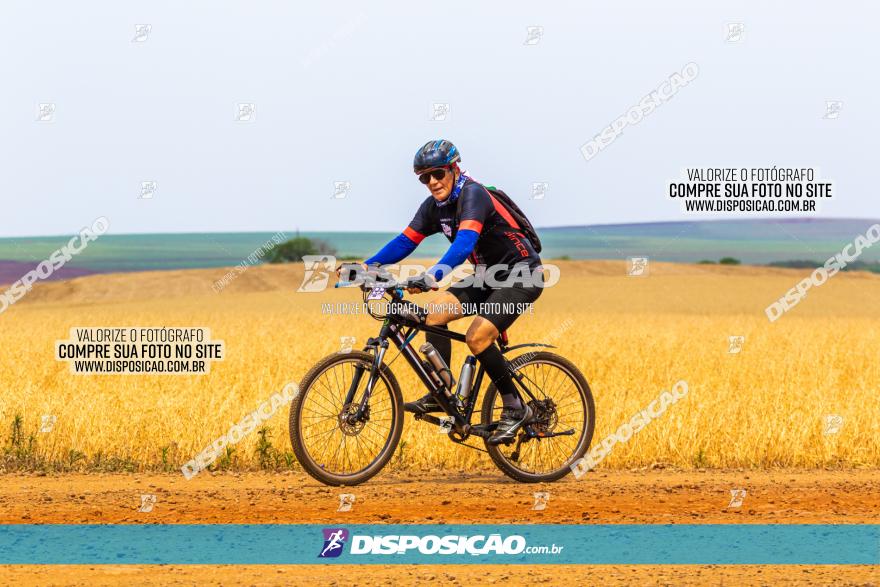 Rota das Capelas de Mandaguaçu