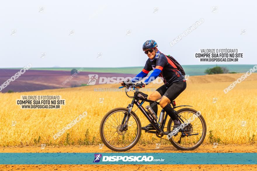 Rota das Capelas de Mandaguaçu