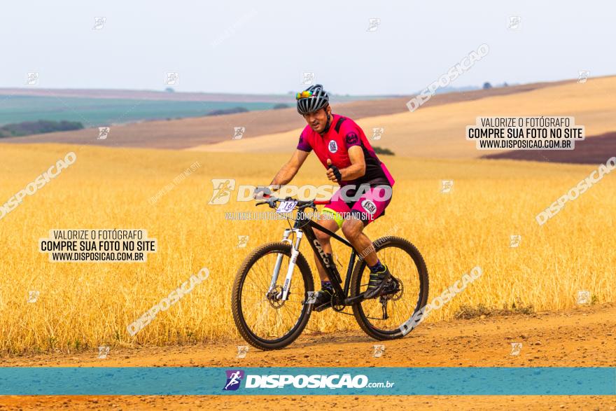 Rota das Capelas de Mandaguaçu