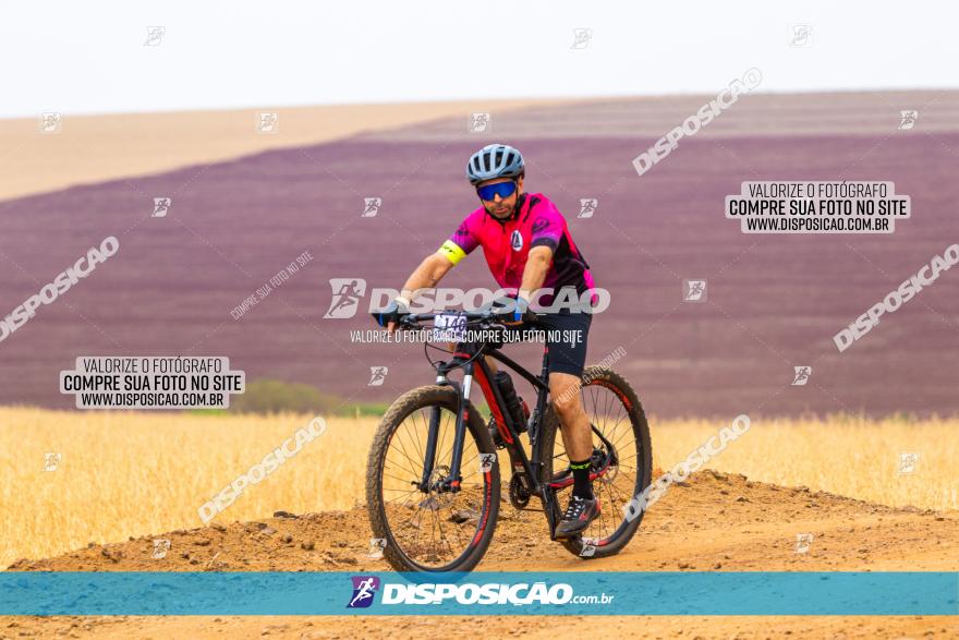 Rota das Capelas de Mandaguaçu