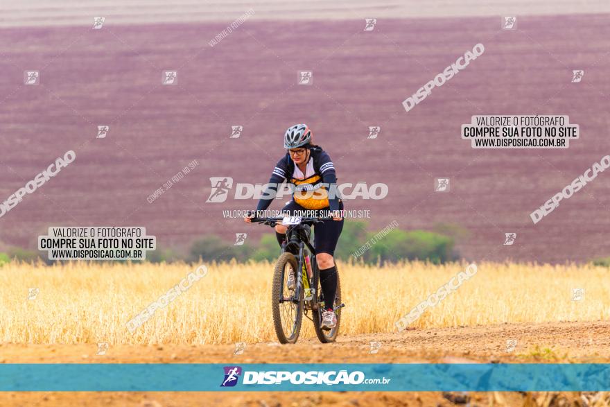 Rota das Capelas de Mandaguaçu