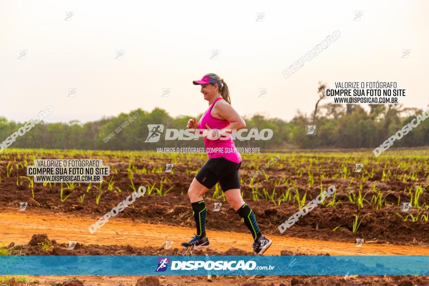 Rota das Capelas de Mandaguaçu