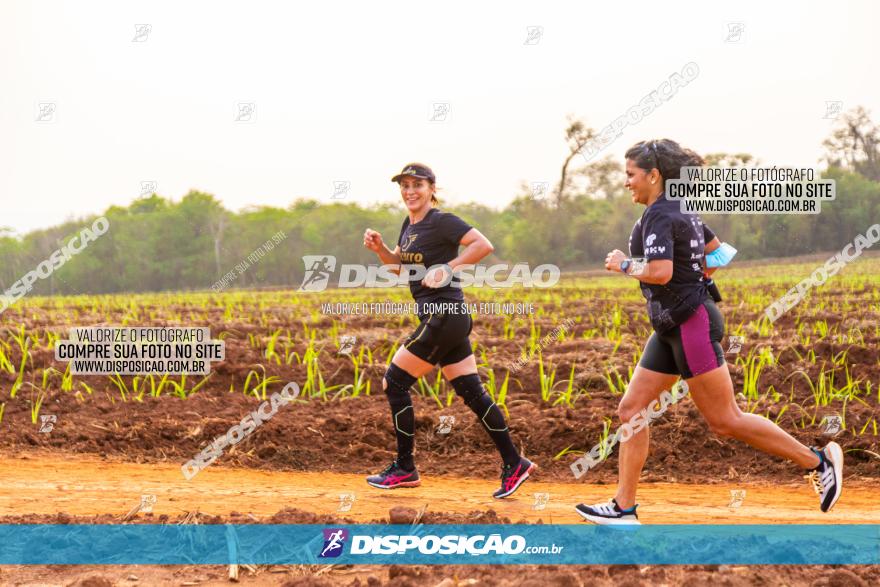 Rota das Capelas de Mandaguaçu