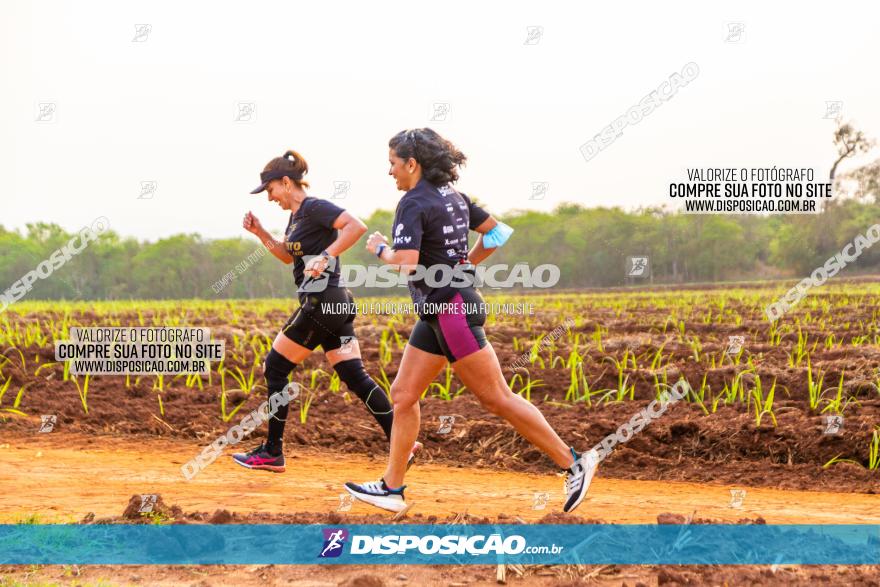 Rota das Capelas de Mandaguaçu