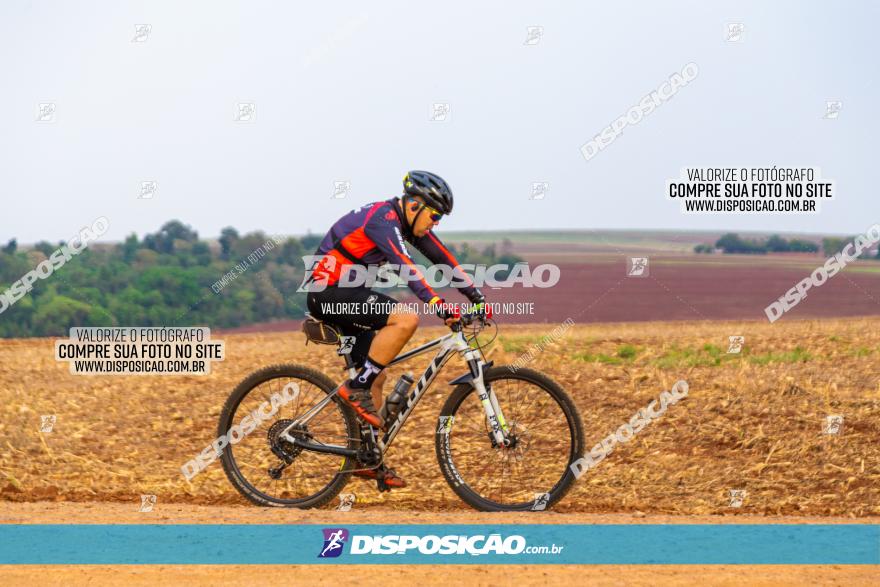 Rota das Capelas de Mandaguaçu