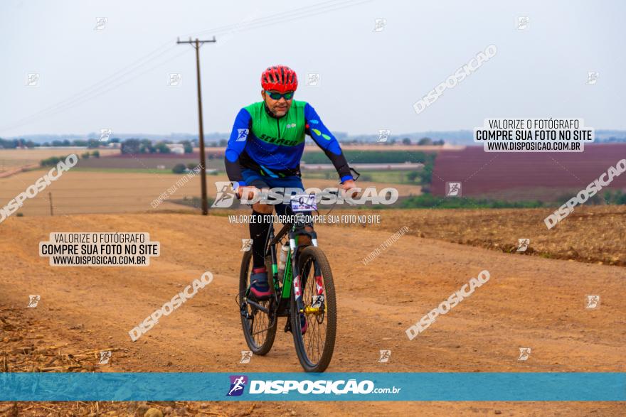 Rota das Capelas de Mandaguaçu